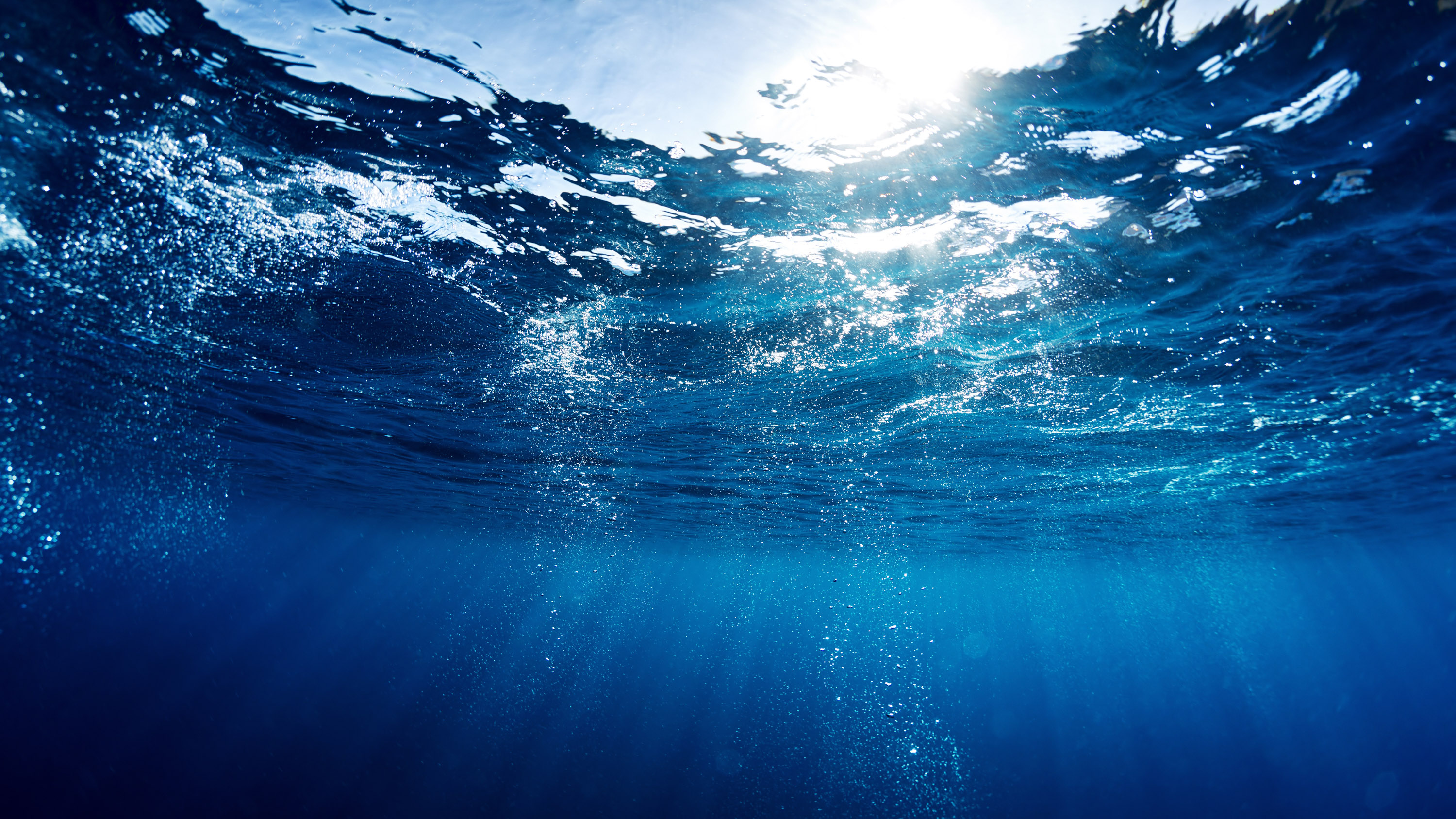 Underwater view of the sea surface with bubbles