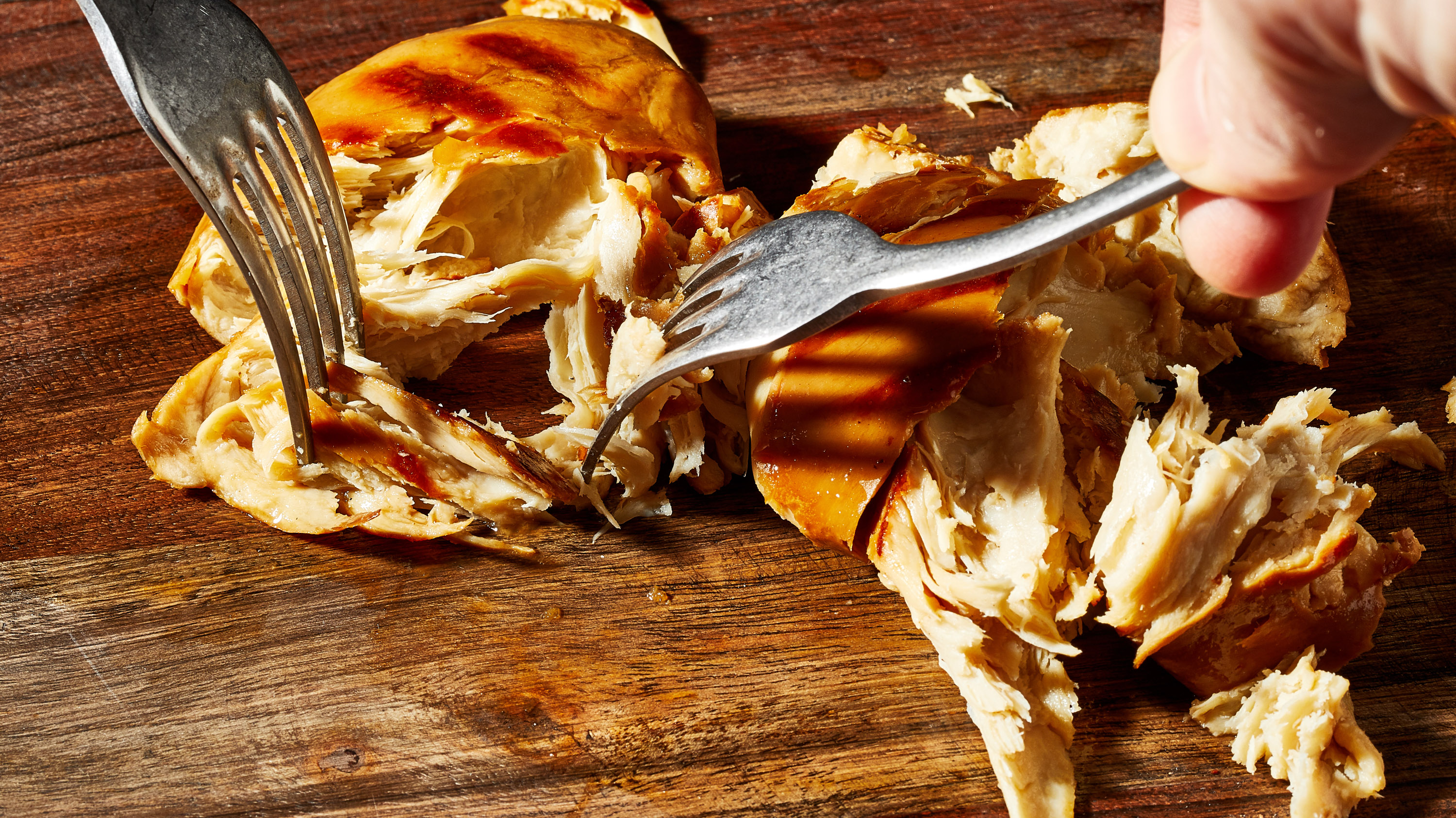 closeup of cultivated chicken being shredded by two forks