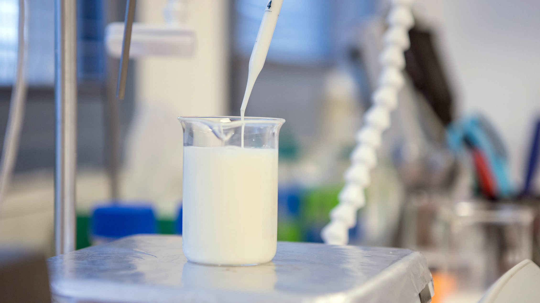 a pipette adding non-dairy milk to a beaker on a digital scale in the lab